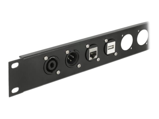 Delock D-Type Module HDMI-A female to female - Modulkontaktplatta med insnäppsfästen - kan monteras på panel - HDMI - svart