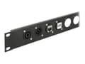 Pikkukuva 1 / 5: Delock D-Type Module HDMI-A naaras naaraaseen - Modulær facilitet plade snape-in - panelmonterbar - HDMI - lajittelu