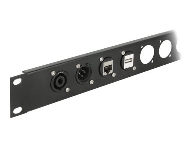 Delock D-Type Module VGA 15 pin female to female - Modulkontaktplatta med insnäppsfästen - kan monteras på panel - VGA - svart