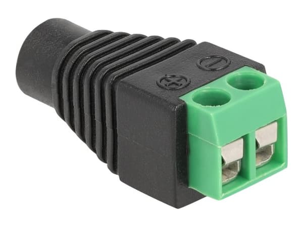 Delock - Strømkoblingsadapter - 2-pins terminalblokk til 3,5 x 1,35 mm DC-jakk (hunn)