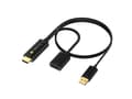 Miniatyrbilde 2 av 5: TECHly - Video adapter - HDMI hann til USB (kun strøm), DisplayPort - svart - 4 Kx2K60 Hz-støtte