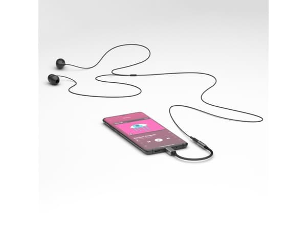 Marmitek 08374, Sort, Sølv, USB C, 3.5mm, 0,15 m, Hanstik, Hunstik