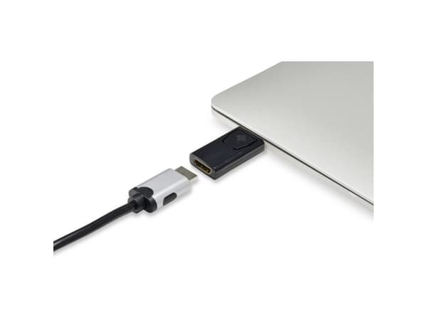 Renkforce RF-4746622, DisplayPort, HDMI, Svart