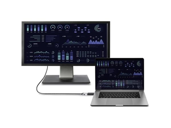 Renkforce RF-4746622, DisplayPort, HDMI, Svart