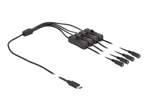 Delock - Strömdelare - 24 pin USB-C (hane) till DC-jack 5,5 x 2,1 mm (hona) - 1 m - svart