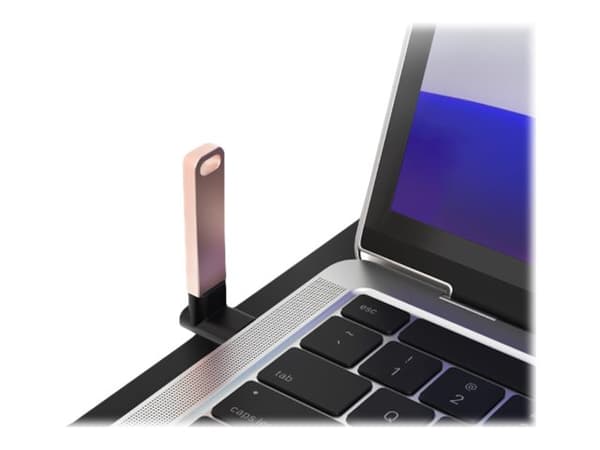 Akasa - USB-adapter - 24 pin USB-C (hann) til 24 pin USB-C (hunn) høyrevinklet - USB 3.2 Gen 2 - 5 V - 3 A - svart (en pakke 2)