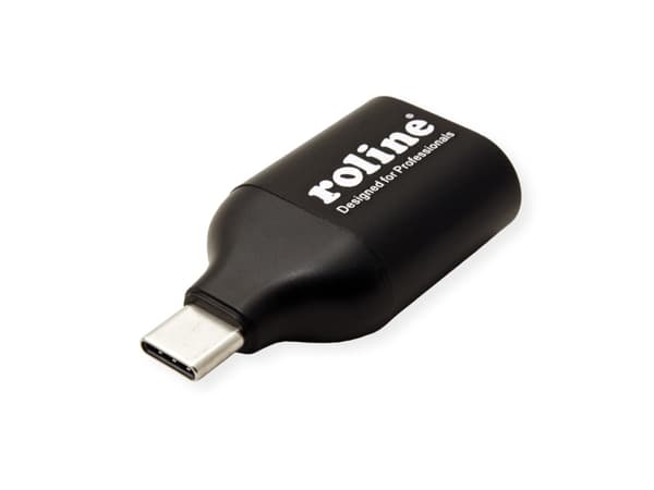 ROLINE 12.03.3228, 3.2 Gen 1 (3.1 Gen 1), USB Type-C, VGA-utgång (D-Sub), 1920 x 1080 pixlar
