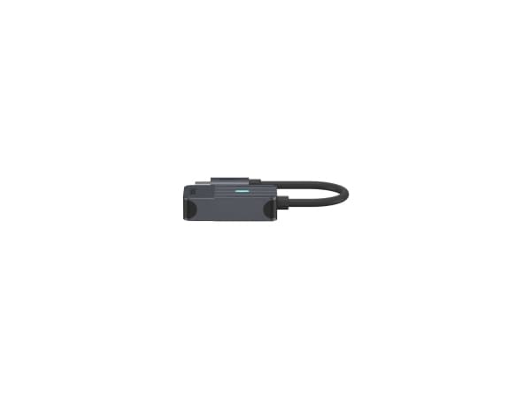 Rapoo UCA-1005, 0.15 m, USB Type-C, DisplayPort, uros, naaras, suora, suora