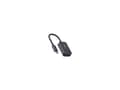 Pikkukuva 2 / 5: Rapoo UCA-1005, 0.15 m, USB Type-C, DisplayPort, uros, naaras, suora, suora