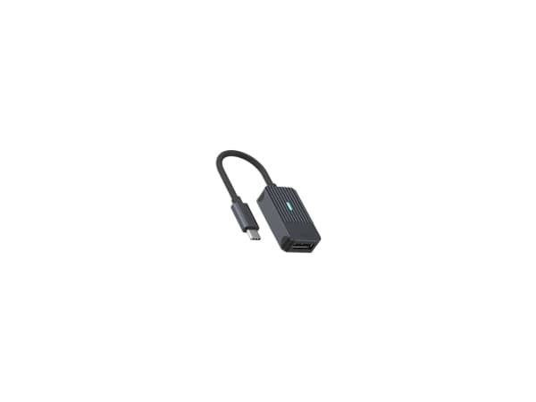 Rapoo UCA-1005, 0.15 m, USB Type-C, DisplayPort, uros, naaras, suora, suora