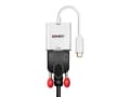 Miniatyrbild 4 av 5: Splitter Lindy Converter USB Typ C till VGA