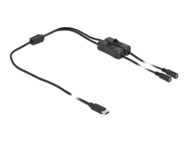 Delock - Strømsplitter - 24 pin USB-C (hann) til 5,5 x 2,1 mm DC-jakk (hunn) - 1 m - svart