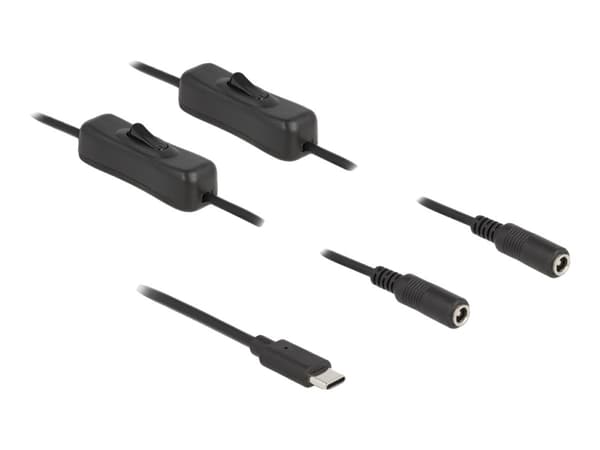 Delock - Strømsplitter - 24 pin USB-C (hann) til 5,5 x 2,1 mm DC-jakk (hunn) - 1 m - svart