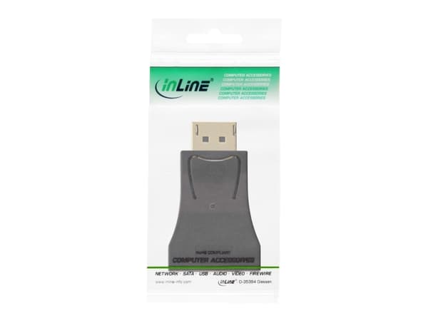 InLine 17196C, DisplayPort male, VGA, Sort
