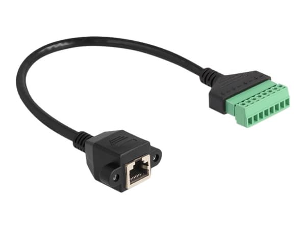 Delock - Nettverkadapterkabel - 8-pins terminalblokk (hunn) til RJ-45 (hunn) skrubar - 30 cm - UTP - CAT 6 - svart/grønn