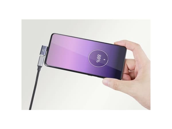 Renkforce RF-5245272, USB-C, USB-C, Svart, Grå