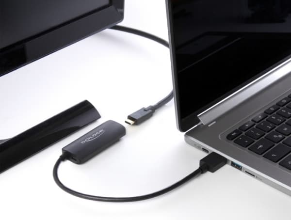 Delock - Videokort - HDMI hane till 24 pin USB-C hona - 18 cm - svart - 8K30 Hz (7680 x 4320) stöd, 3D-videostöd