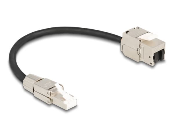 Delock - Nettverksforlengelseskabel - RJ-45 (hunn) til RJ-45 (hann) - 25 cm - S/FTP - CAT 6a - halogenfri - svart/sølv
