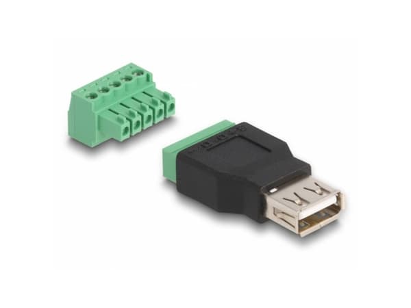 Delock - USB-adapter - 5-stifts terminalblok till USB (hona) - USB 2.0 - 5 V - 2 A - svart/grön