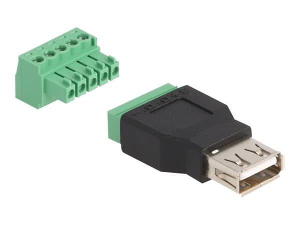 Delock - USB-adapter - 5-stifts terminalblok till USB (hona) - USB 2.0 - 5 V - 2 A - svart/grön