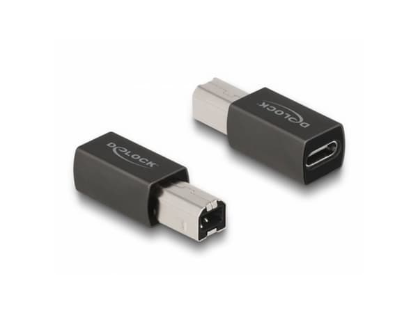 Delock - USB-adapter - 24 pin USB-C (hona) till USB typ B (hane) - USB 2.0 - antracit