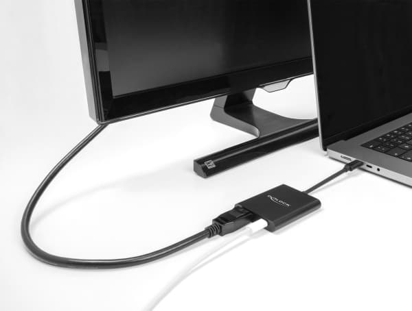 Delock - Video adapter - DisplayPort (Alt Mode) - 13 cm - 8 K 30 Hz (7680 x 4320) støtte, 4 K 120 Hz (3840 x 2160) støtte, 8K 60 Hz (7680 x 4320) stø