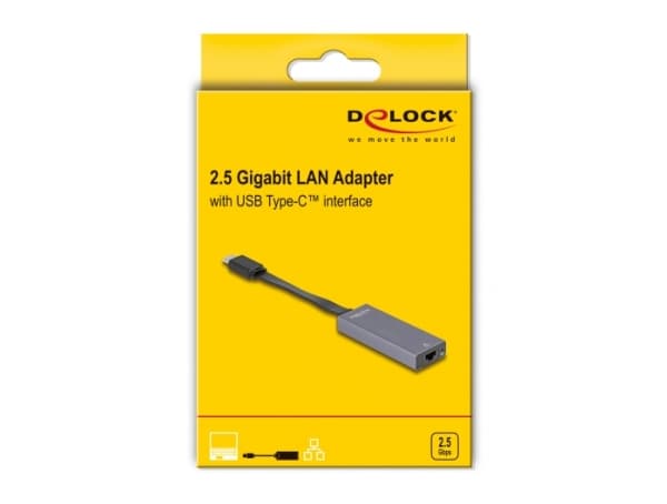 DeLOCK 66248, RJ-45, USB C, 0,09 m, Harmaa