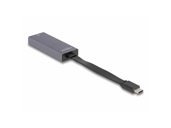 DeLOCK 66248, RJ-45, USB C, 0,09 m, Harmaa