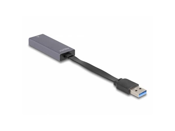 Delock - Nettverksadapter - USB 3.0 - 2.5GBase-T x 1 - antrasitt