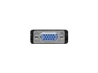 goobay - VGA-adapter - HD-15 (VGA) (hunn) til DVI-A (hann) - tommelskruer