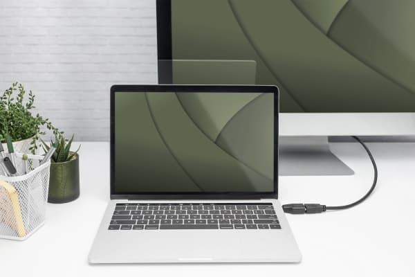 DIGITUS - Video/audio-adapter - 24 pin USB-C hann til HDMI hunn - svart - 4 K 30 Hz (3840 x 2160) støtte