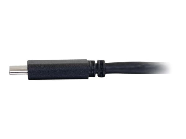 C2G 12ft USB C to DisplayPort Cable - 4K - Black - M/M - Ekstern videoadapter - USB-C - DisplayPort - svart