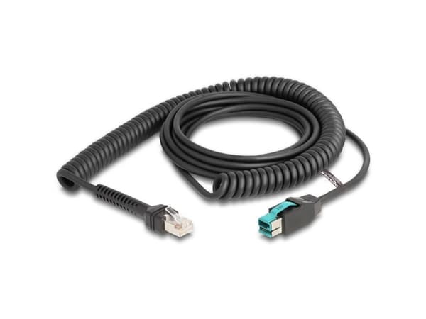 Delock - USB-kabel - USB PlusPower (han) til RJ-50 (han) - USB 2.0 - 12 V - 3 m - snoet - sort