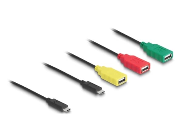 Delock - Hubb - 4 x USB 2.0 - skrivbordsmodell - AC