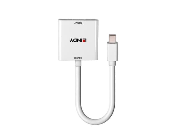 Lindy 38317, 0,16 m, Mini DisplayPort, VGA (D-Sub), Hankjønn, Hunkjønn, Rett