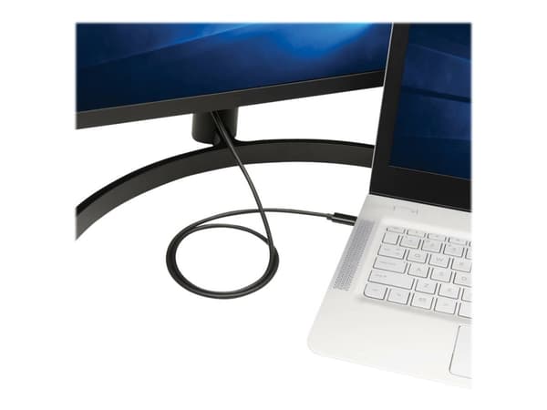 Eaton Tripp Lite Series USB-C to DisplayPort Bi-Directional Active Adapter Cable (M/M), 4K 60 Hz, HDR, Locking DP Connector, 3 ft. (0.9 m) - DisplayP
