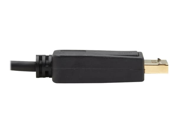 Eaton Tripp Lite Series USB-C to DisplayPort Bi-Directional Active Adapter Cable (M/M), 4K 60 Hz, HDR, Locking DP Connector, 3 ft. (0.9 m) - DisplayP