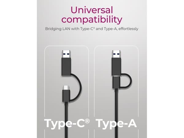 ICY BOX IB-LAN301-C3, Wired, USB Type-A/USB Type-C, Ethernet, 2500 Mbit/s, Anthracite