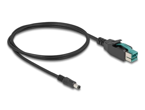 Delock - Strømforsynt USB-kabel - USB PlusPower (12 V) (hann) til 5,5 x 2,5 mm DC-jakk (hann) - 12 V - 2 m - svart