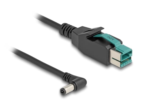 Delock - Vahvistettu USB-kaapeli - USB PlusPower (12 V) (uros) ja DC-liitin 5,5 x 2,5 mm (uros) kulma - 12 V - 2 m - musta - musta