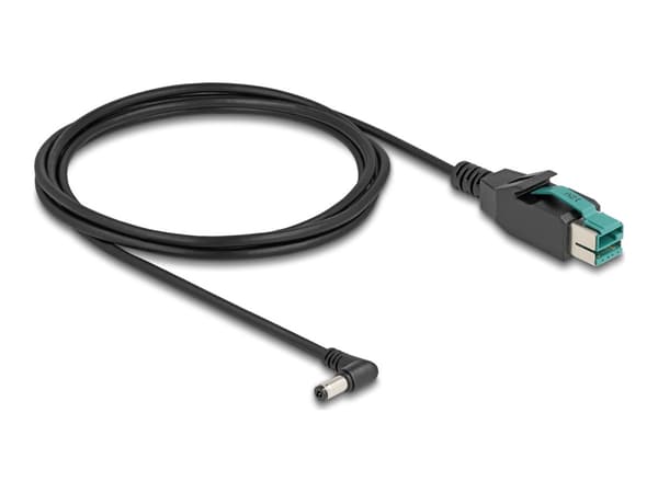 Delock - Strømforsynt USB-kabel - USB PlusPower (12 V) (hann) til 5,5 x 2,1 mm DC-jakk (hann) vinklet - 12 V - 2 m - svart