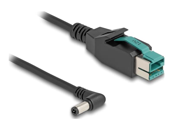 Delock - Strømforsynt USB-kabel - USB PlusPower (12 V) (hann) til 5,5 x 2,5 mm DC-jakk (hann) vinklet - 12 V - 3 m - svart