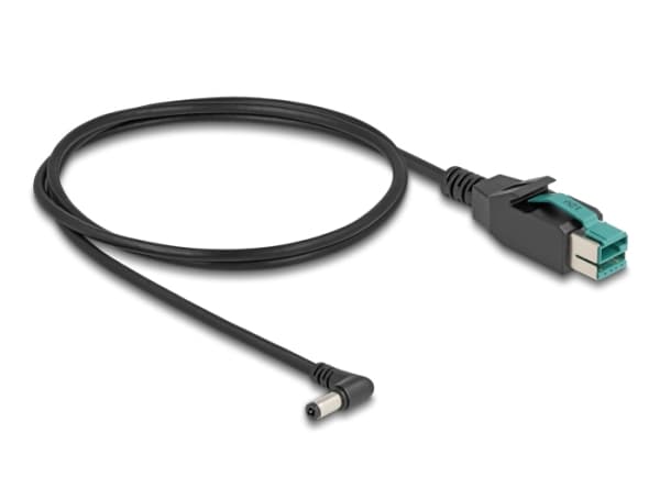 Delock - Strømforsynt USB-kabel - USB PlusPower (12 V) (hann) til 5,5 x 2,5 mm DC-jakk (hann) vinklet - 12 V - 1 m - svart