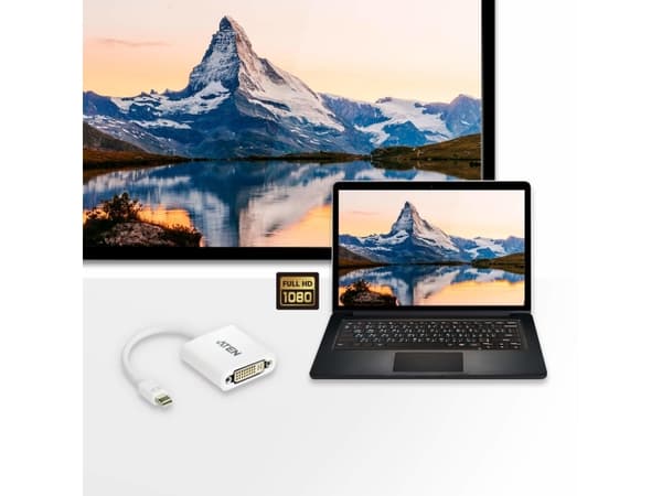 ATEN VC960 - Video adapter - Mini DisplayPort (hann) til DVI-D (hunn) - hvit - for P/N: 0AD8-8012-70MG, VE901T-AT-E