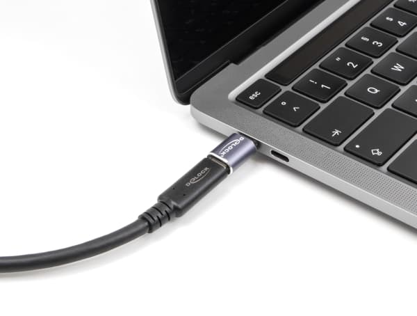 Delock - USB-adapter - 24 pin USB-C (hane) till 24 pin USB-C (hona) - Thunderbolt 4 - 48 V - 5 A - upp till 40 Gbps dataöverföringshastighet, USB-str
