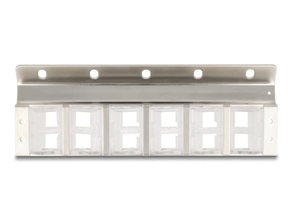 Delock - Modulär insats hållare (vertikal) - tippbar - rackmontering, väggmontering - silver - 10"/19" - 12 portar