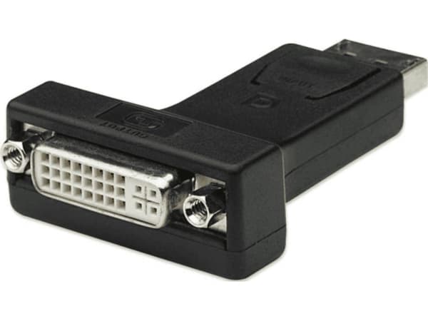 TECHly - Videokort - DisplayPort (hane) till DVI-I (hona) - 7.3 cm - svart