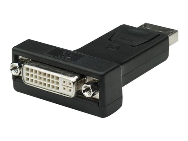 TECHly - Videokort - DisplayPort (hane) till DVI-I (hona) - 7.3 cm - svart