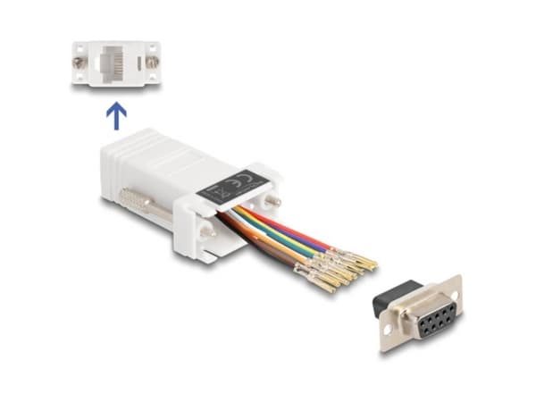 Delock - Seriell adapter - DB-9 (hona) till RJ-45 (hona) - CAT 5/5e/6 - individuellt tilldelningsbar seriell gränssnitt, tumskruvar - vit