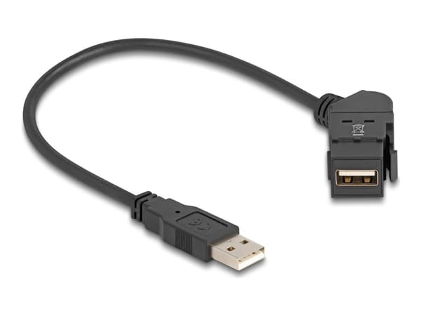Delock USB 2.0 Type-A innebygd stikkontakt 45° vinklet til Type-A-plugg med 30 cm svart kabel